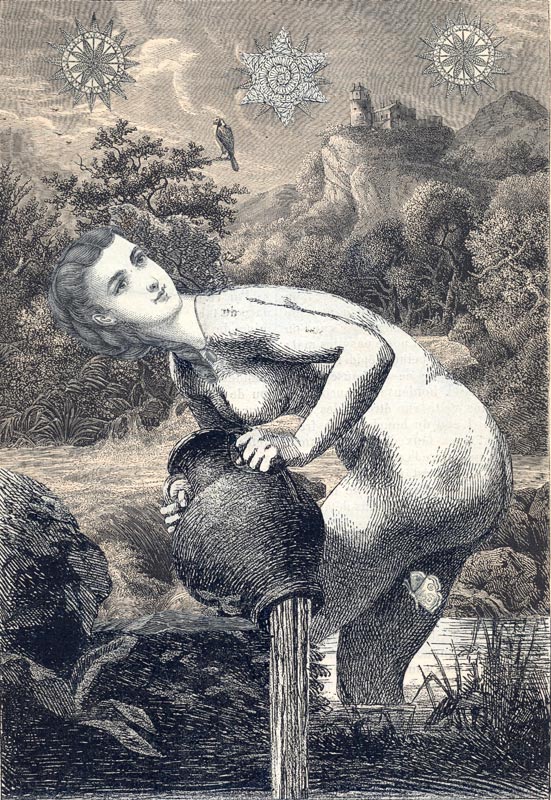 Beschreibung des Bildes